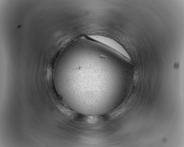 X0000099500623200805291129