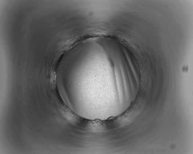 X0000099500624200805291129