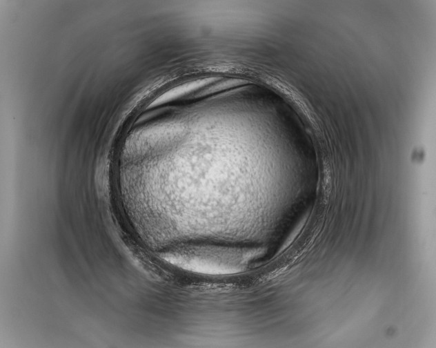 X0000099500626200805291129