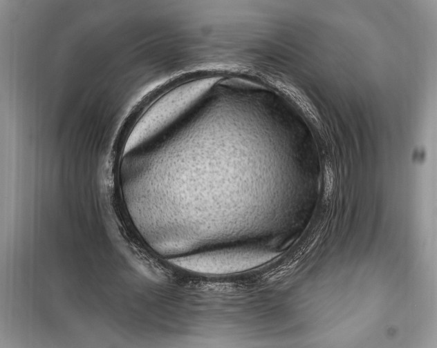 X0000099500628200805291129