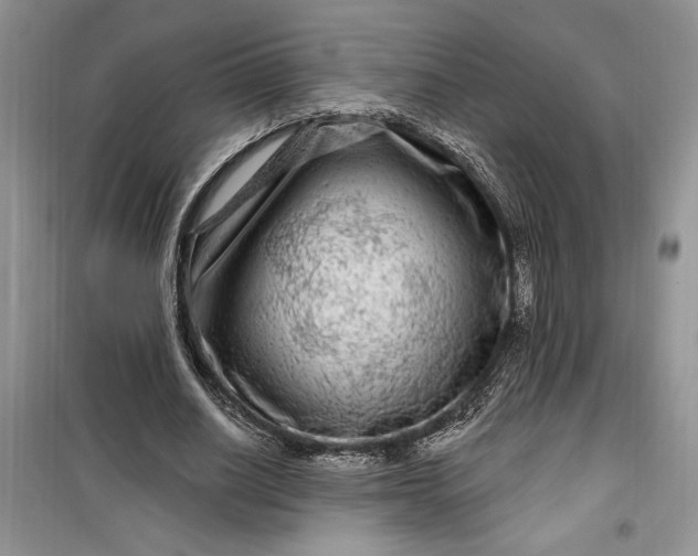 X0000099500630200805291129