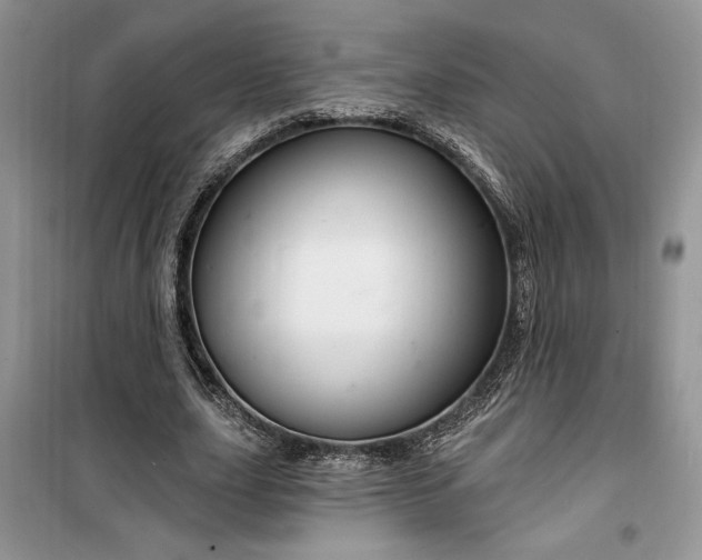 X0000099500631200805291129