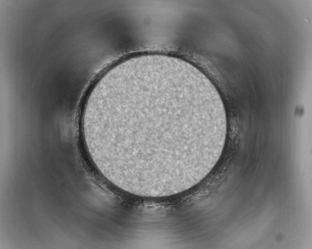 X0000099500632200805291129