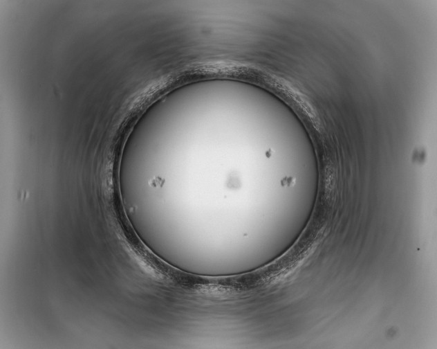 X0000099500633200805291129