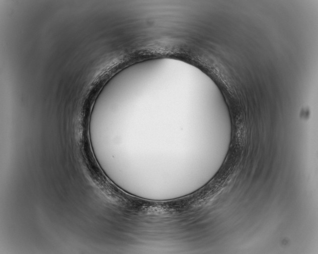 X0000099500635200805291129