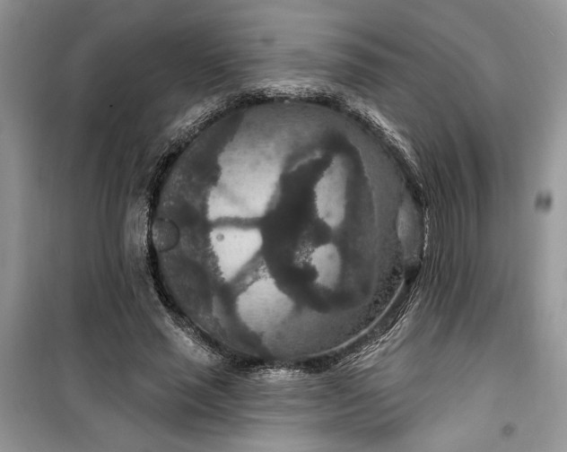 X0000099500637200805291129