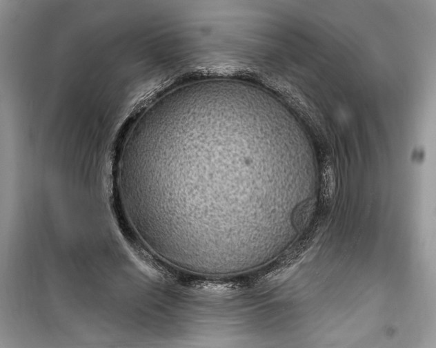 X0000099500638200805291129