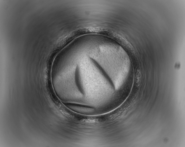 X0000099500639200805291129