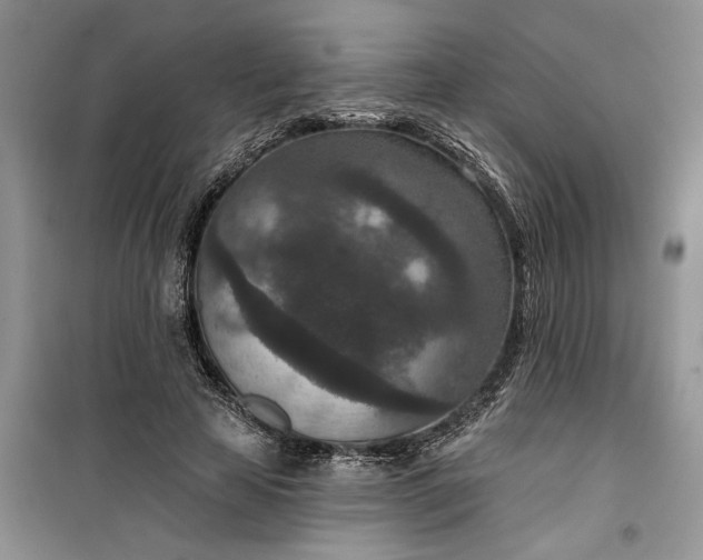 X0000099500641200805291129