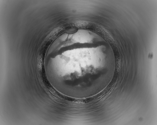 X0000099500644200805291129