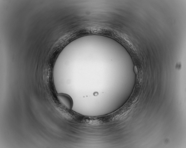 X0000099500645200805291129