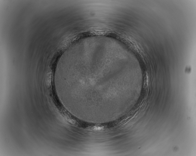 X0000099500647200805291129