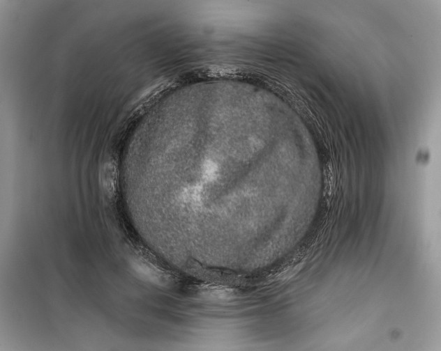 X0000099500648200805291129