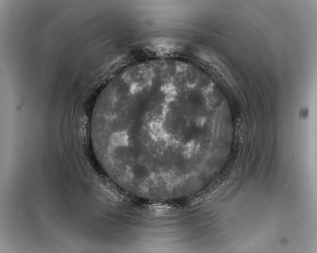 X0000099500650200805291129