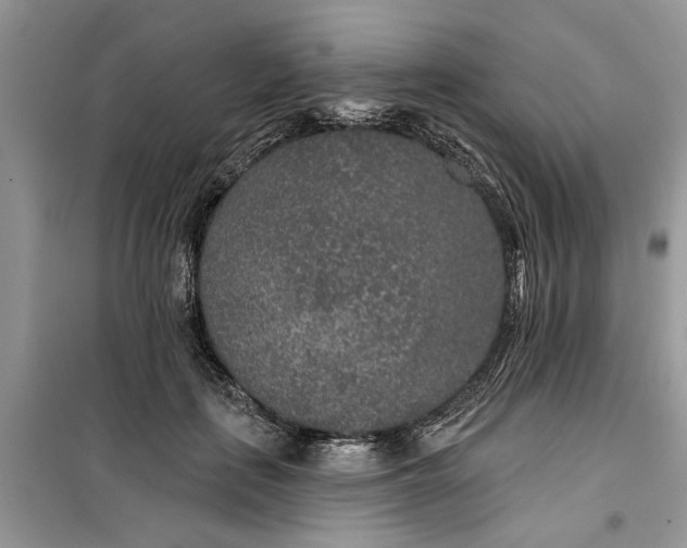 X0000099500651200805291129