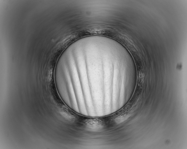 X0000099500652200805291129