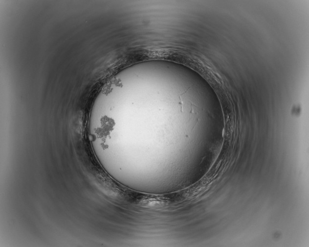 X0000099500655200805291129