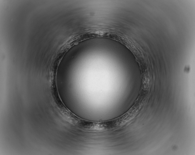 X0000099500656200805291129