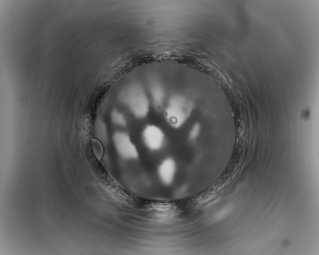 X0000099500659200805291129