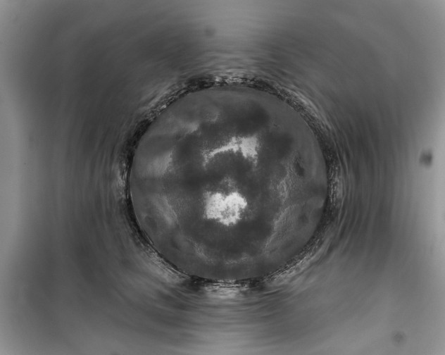 X0000099500661200805291129