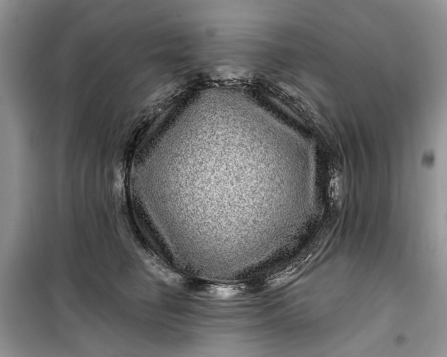 X0000099500662200805291129