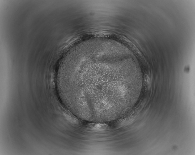 X0000099500663200805291129