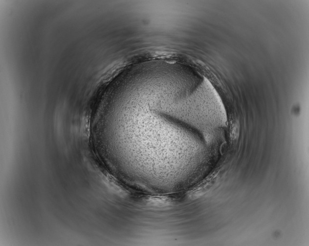 X0000099500666200805291129