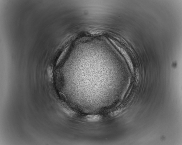 X0000099500667200805291129