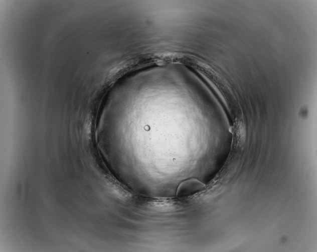 X0000099500668200805291129