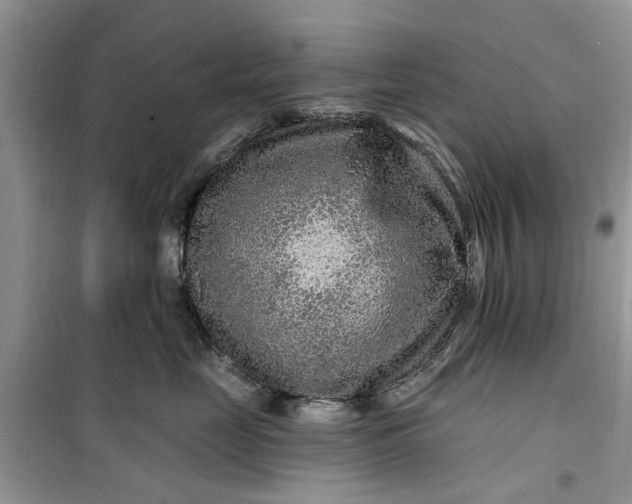 X0000099500669200805291129