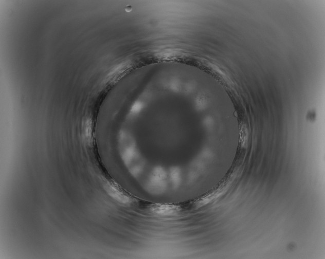 X0000099500670200805291129