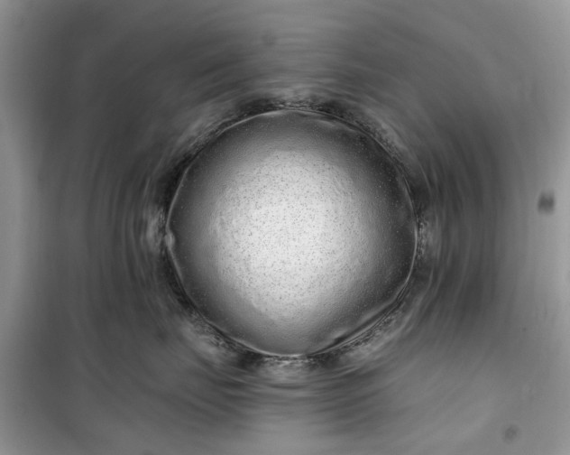 X0000099500671200805291129