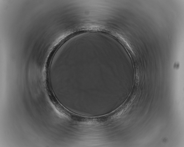 X0000099500674200805291129