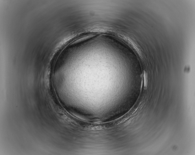 X0000099500675200805291129