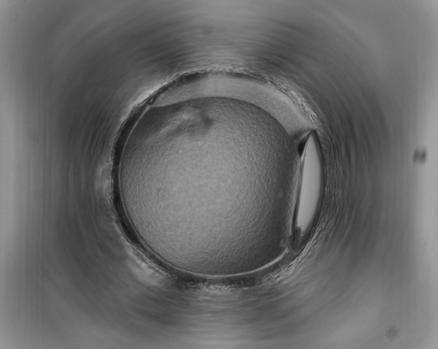 X0000099500677200805291129