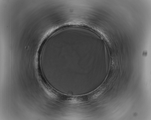 X0000099500678200805291129