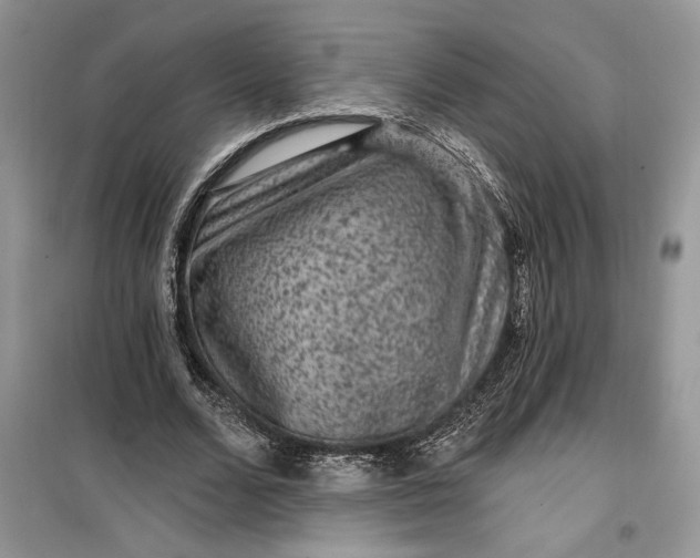 X0000099500680200805291129