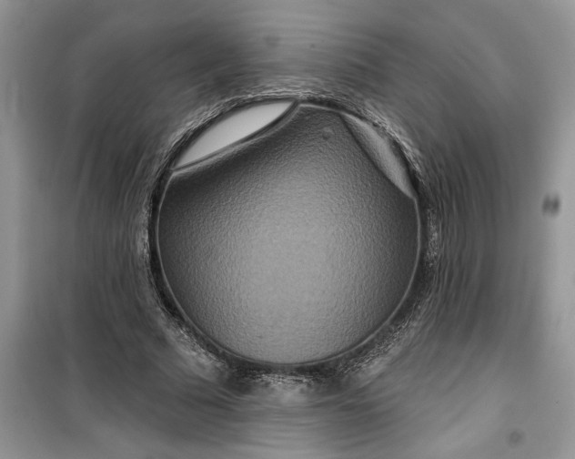 X0000099500681200805291129