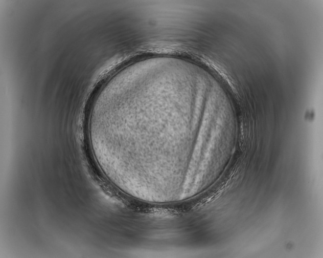 X0000099500682200805291129