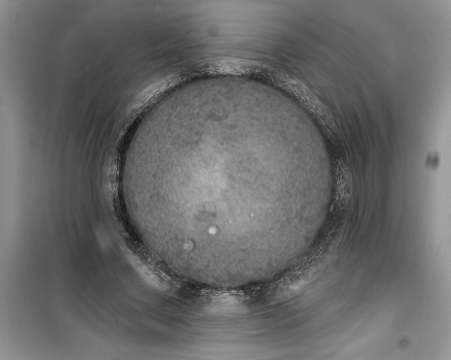 X0000099500683200805291128