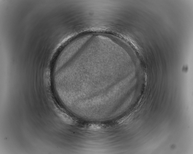 X0000099500684200805291128