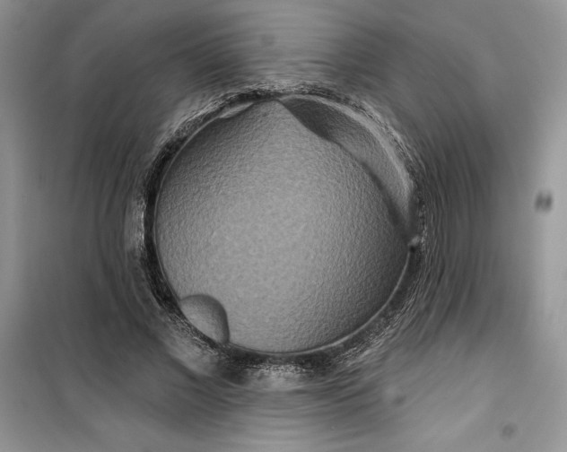 X0000099500685200805291128