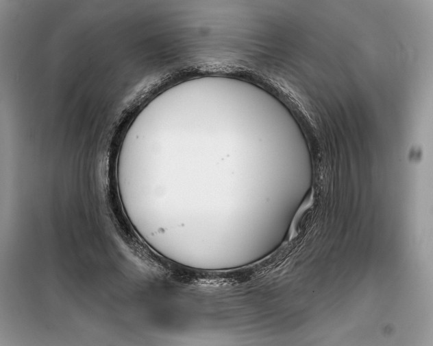 X0000099500686200805291128