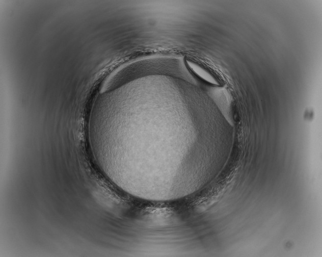 X0000099500689200805291128