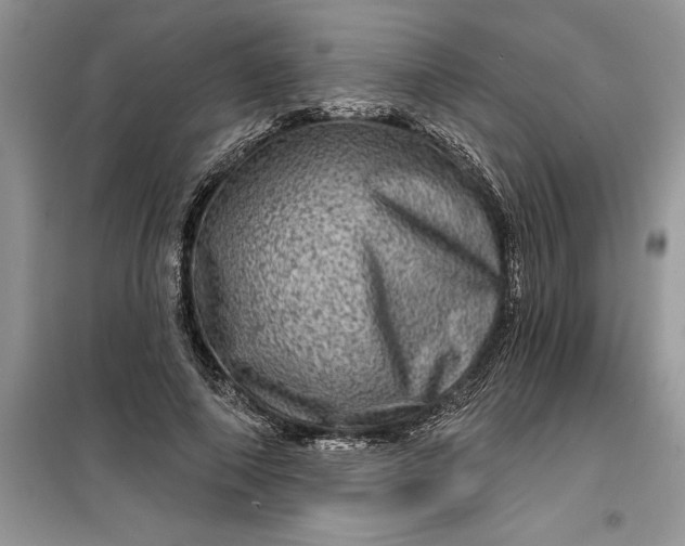 X0000099500690200805291128