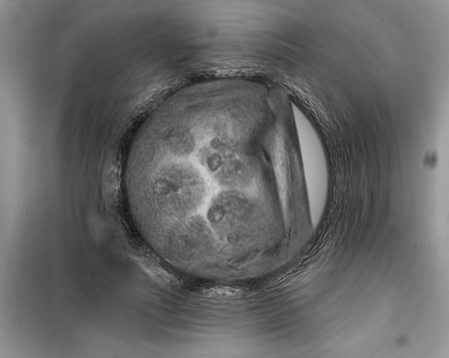 X0000099500691200805291128