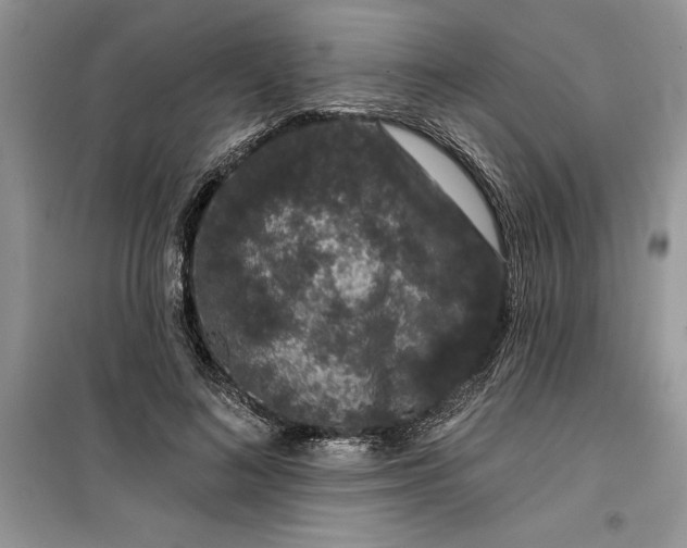 X0000099500692200805291128