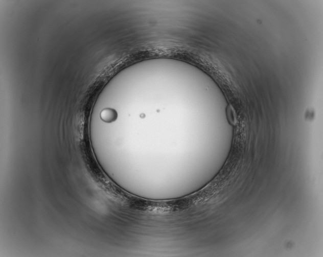 X0000099500694200805291128