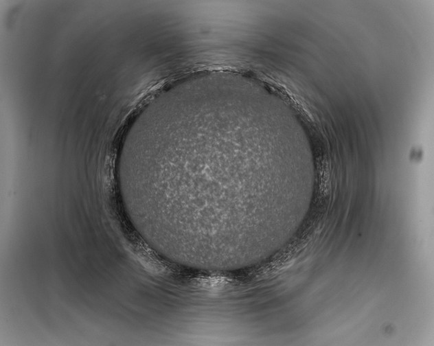 X0000099500695200805291128