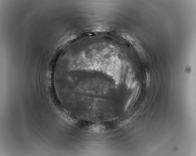 X0000099500696200805291128